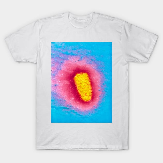 TEM of rabies virus (M050/0056) T-Shirt by SciencePhoto